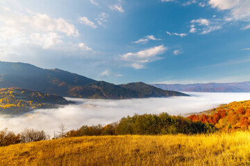 Highland with giant forestry mountains surrounded by fog