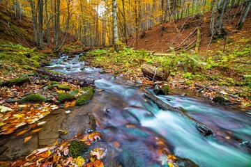 Beautiful Waterfall Shipot close-up in the autumn forest