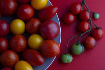 The different types of tomatoes on a blue plate and branch of red and green tomatoes.