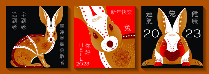 Set of banners of Chinese New Year. Translation of hieroglyphs: Rabbit, happy new year, luck, health, luck loves the brave, live to old age, study to old age, hello.