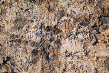 Wall fragment with scratches and cracks . texture background