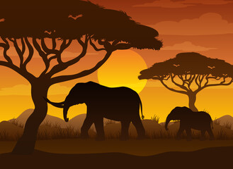 Fototapeta na wymiar Silhouette savanna forest with wild animals
