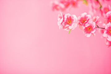 romantic peach blossom poster background