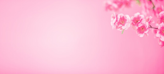 romantic peach blossom poster background