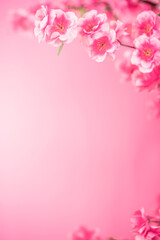 Fototapeta premium romantic peach blossom poster background