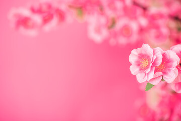 Fototapeta na wymiar rose red peach blossom fashion promotion poster
