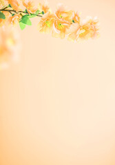spring flowers poster background material