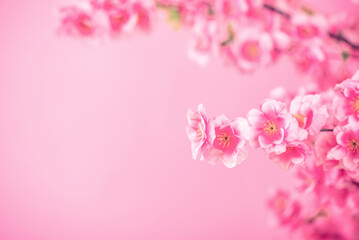 spring romantic peach flowers poster background material