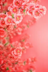 festive peach blossom country tide poster background