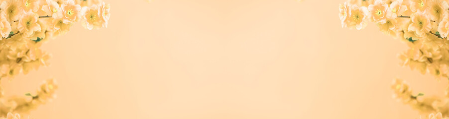 spring flowers poster background material
