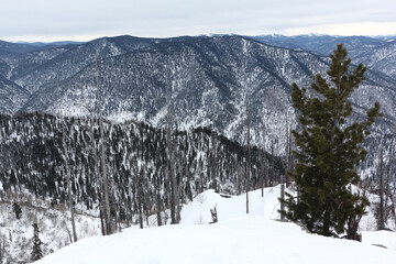 Teletsky ski resort, view from Mount Kokuya, Republic  Altai, Russia