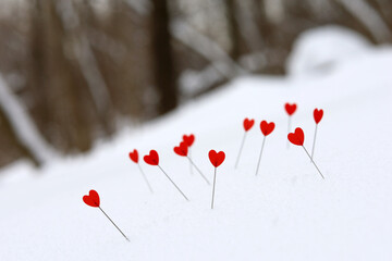 Love hearts on a snow hill slope on winter forest background. Greeting card, romantic Valentine's day