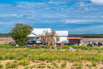 Fototapeta premium CREATIVE