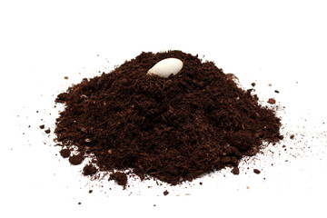 A pile of soil with zucchini seed on top on a white background. The concept of planting and growing vegetable plants in agriculture and farming