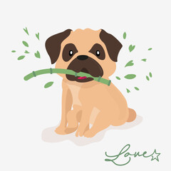 Obraz na płótnie Canvas Pug dog, ideal for applying to sweet designs. This funny and cute mascot made in vectors is to be used in different designs and graphic contexts