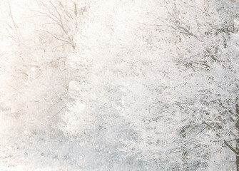 Beautiful Snowy White Forest In Winter Snowy Frosty Day. Winter Woods. Beautiful Snowy White Forest In Winter Frosty Day. Winter Woods. Beautiful Snowy White Forest In Winter Snowy Frosty Day. Winter