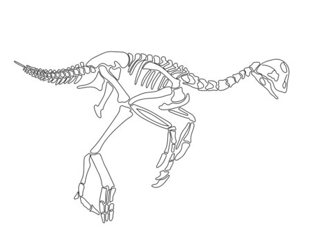 Oviraptor dinosaur skeleton silhouette isolated on white background. Vector illustration.