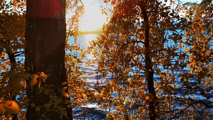 Colors of golden autumn painted the leaves of the trees with lake on background. Media. Beautiful sunset.