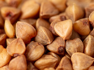 Close-up of buckwheat groats as background.