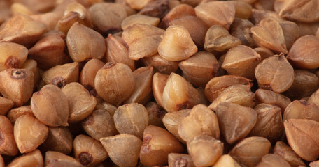 Close-up of buckwheat groats as background.