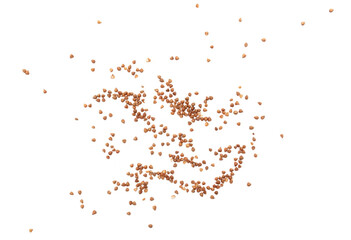 Buckwheat groats isolated on white background.