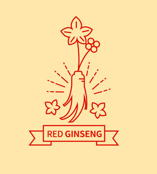 Red ginseng logo emblem pattern background vector image.
