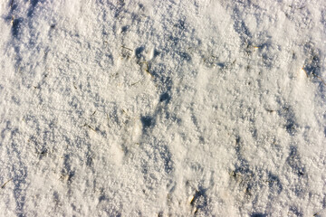 Snow surface texture background on a winter day