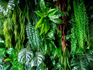 Artificial Ferns and Plant Showing