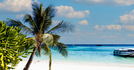 The banner of summer and Palm tree as the white sand Beach -  Happy Tropical with a Vacation Holiday concept