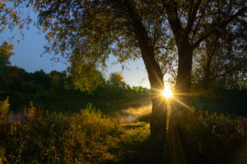 
The bright sun shines through the trees, the sun's rays, the dawn on the river in the forest