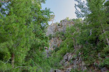 Adventure Park Manavgat Oymapnar dam, mountain view and more.