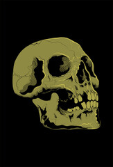 Skull vector illustration hand drawing