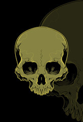 Skull vector illustration hand drawing