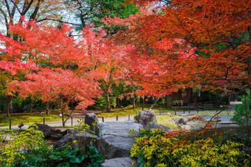 京都　長岡天満宮　錦景苑の紅葉