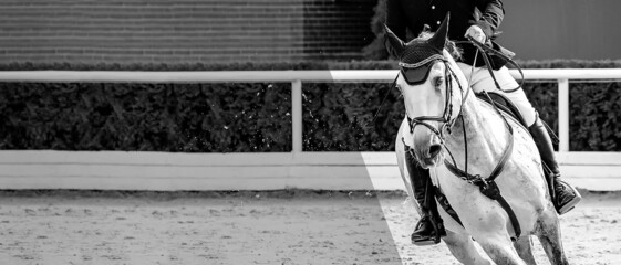 Horse and rider in uniform, black and white.