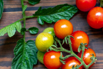 cherry tomatoes on wooden table background