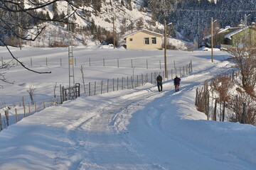 old man walking on snow covered road.Artvin. Turkey