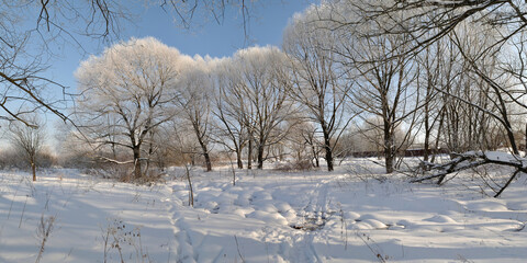 Winter walk through forests and fields, beautiful panorama.