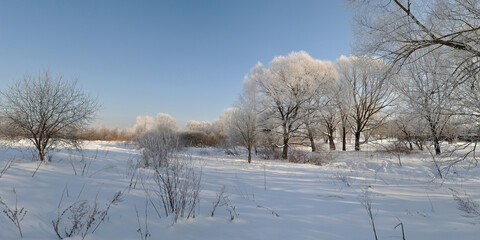 Winter walk through forests and fields, beautiful panorama.