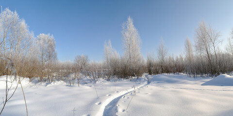Winter walk through forests and fields, beautiful panorama.