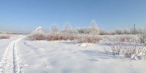 Winter walk through forests and fields, beautiful panorama.