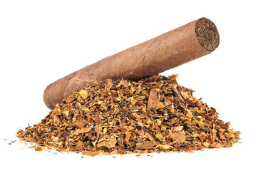 Pile of dried tobacco leaves and brown cigar isolated on a white background