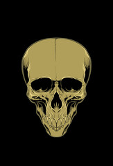 Head skull artwork vector illustration