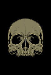 Head skull artwork vector illustration