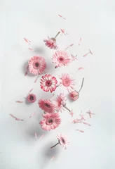 Foto op Canvas Flying pink daisy flowers at white wall background with shadows. Falling petals from summer flowers. Front view. © VICUSCHKA