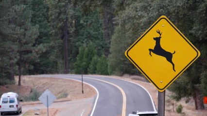 Deer crossing warning yellow sign, California USA. Wild animals xing traffic signage for safety...