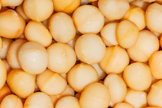 Macadamia Nuts Food Protein Close-Up organic healthy agriculture produce.