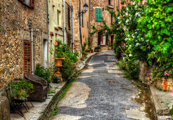 Fototapeta na wymiar Narrow Street in the Medieval Village of Bargemon, Provence, France