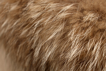 Faux fur close-up. The concept of abandoning natural fur, a two-way against natural fur