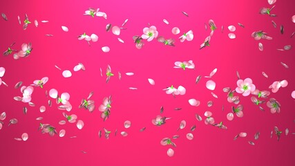 Obraz na płótnie Canvas Cherry blossoms on pink background. 3D illustration for background. 